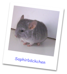 Saphirbckchen